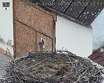 Capi_Dubne_20250408_085003.jpg