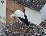 Capi_Dubne_20250408_093503.jpg