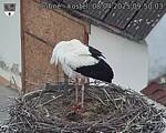 Capi_Dubne_20250408_095003.jpg