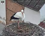 Capi_Dubne_20250408_095503.jpg