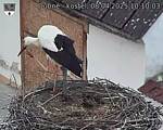 Capi_Dubne_20250408_101003.jpg