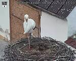 Capi_Dubne_20250408_101503.jpg