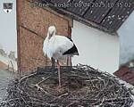 Capi_Dubne_20250408_103502.jpg