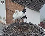 Capi_Dubne_20250408_104003.jpg