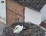 Capi_Dubne_20250408_104503.jpg