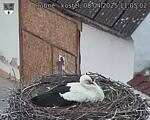 Capi_Dubne_20250408_110502.jpg