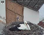 Capi_Dubne_20250408_112003.jpg