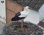 Capi_Dubne_20250408_114003.jpg