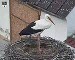 Capi_Dubne_20250408_114502.jpg