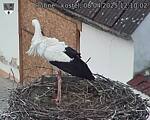 Capi_Dubne_20250408_121002.jpg