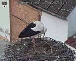 Capi_Dubne_20250408_121503.jpg