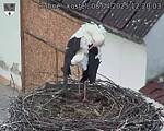 Capi_Dubne_20250408_122003.jpg