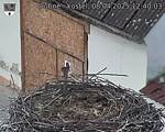 Capi_Dubne_20250408_124003.jpg