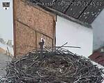 Capi_Dubne_20250408_124502.jpg