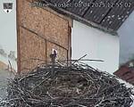 Capi_Dubne_20250408_125502.jpg