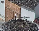Capi_Dubne_20250408_131503.jpg