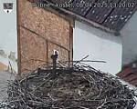 Capi_Dubne_20250408_132002.jpg