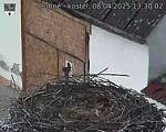 Capi_Dubne_20250408_133002.jpg