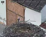 Capi_Dubne_20250408_133503.jpg
