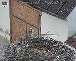 Capi_Dubne_20250408_134003.jpg