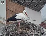 Capi_Dubne_20250408_134503.jpg