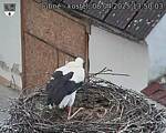 Capi_Dubne_20250408_135003.jpg