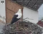 Capi_Dubne_20250408_135503.jpg