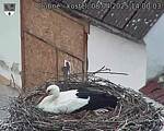 Capi_Dubne_20250408_140003.jpg