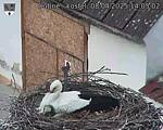 Capi_Dubne_20250408_140502.jpg