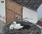 Capi_Dubne_20250408_141003.jpg