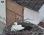 Capi_Dubne_20250408_141502.jpg