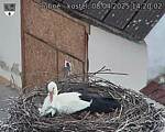 Capi_Dubne_20250408_142002.jpg