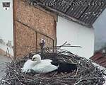 Capi_Dubne_20250408_144503.jpg