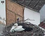 Capi_Dubne_20250408_145003.jpg