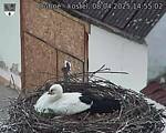Capi_Dubne_20250408_145502.jpg