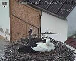 Capi_Dubne_20250408_150003.jpg