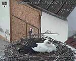 Capi_Dubne_20250408_151003.jpg