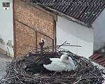 Capi_Dubne_20250408_151503.jpg