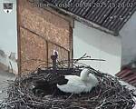 Capi_Dubne_20250408_152002.jpg
