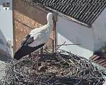 Capi_Dubne_20250408_155003.jpg