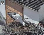 Capi_Dubne_20250408_155502.jpg