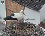 Capi_Dubne_20250408_160502.jpg