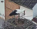 Capi_Dubne_20250408_163003.jpg