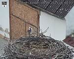 Capi_Dubne_20250408_164003.jpg