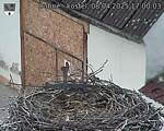 Capi_Dubne_20250408_170003.jpg