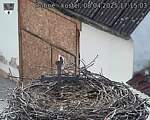 Capi_Dubne_20250408_171503.jpg