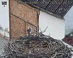Capi_Dubne_20250408_172003.jpg