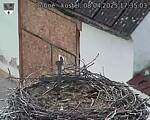 Capi_Dubne_20250408_173503.jpg
