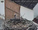 Capi_Dubne_20250408_174003.jpg