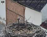 Capi_Dubne_20250408_174503.jpg